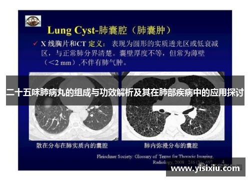二十五味肺病丸的组成与功效解析及其在肺部疾病中的应用探讨
