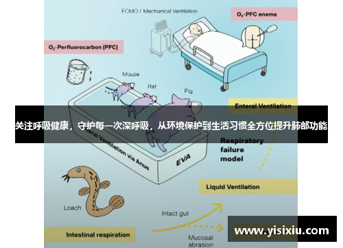 关注呼吸健康，守护每一次深呼吸，从环境保护到生活习惯全方位提升肺部功能