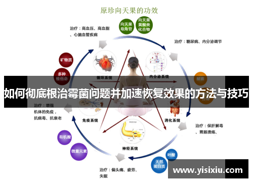 如何彻底根治霉菌问题并加速恢复效果的方法与技巧