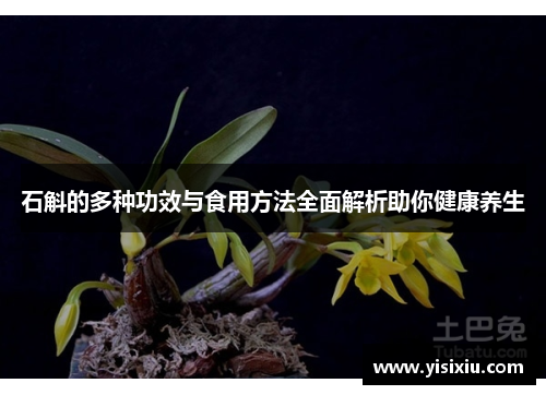 石斛的多种功效与食用方法全面解析助你健康养生